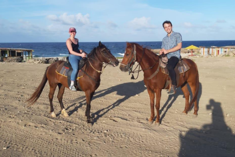 Aruba:Private 2 Hr Horseback Riding Tour For Advanced Riders