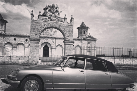 Private Luxury Wine Tour of Médoc vineyard in a Citroën DS Half-day (4 to 5H)