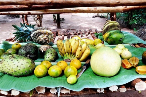 Zanzibar: Spice farm tour with local guide Zanzibar: Spice Farm Tour with Stone Town Pick-Up”
