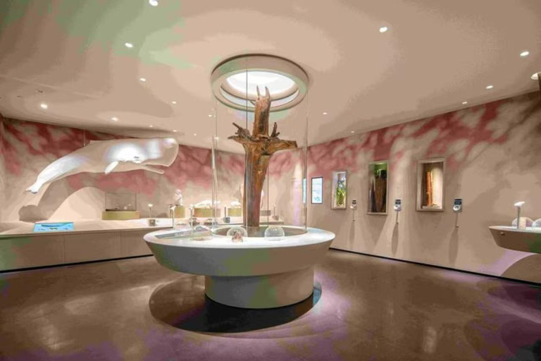 Guangzhou: Xuelei Fragrance Museum Entry Ticket(Opt Guide) Entry ticket + pick up/drop off servie