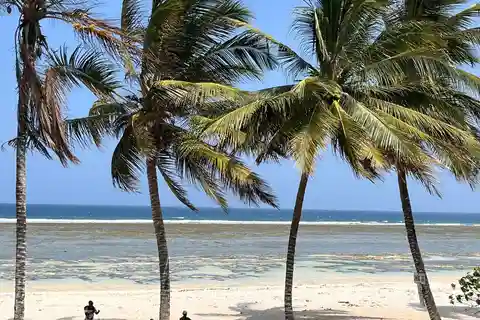 Diani: Full day Guided tour in Tiwi beach & Diani