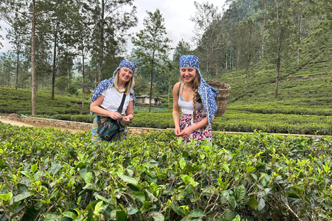 Sri Lanka: 15-Day Guided Tour with Transfers & Hotels