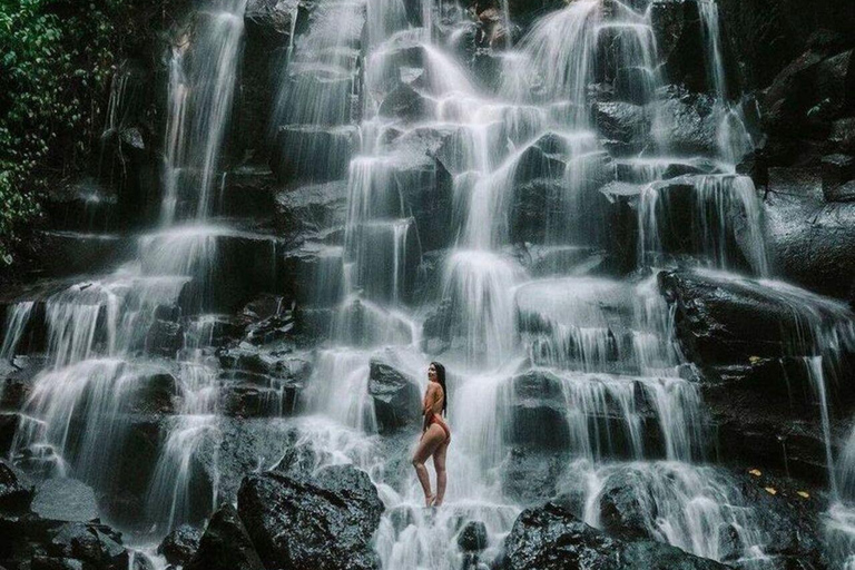 Bali Ubud Tour Monkey Forest, Waterfall, Temple & Rice Field Private Tour With Entrance Fee Tickets