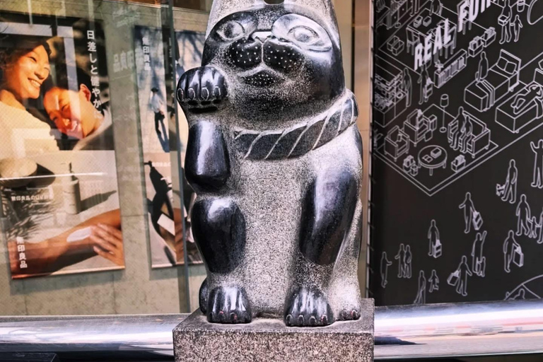 Tokyo Private Sightseeing Tour Customizable with Guide