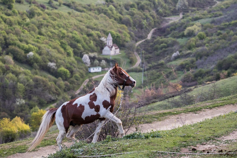 Tiflis: Reiten, Weinverkostung und Kochen in Kachetien ...