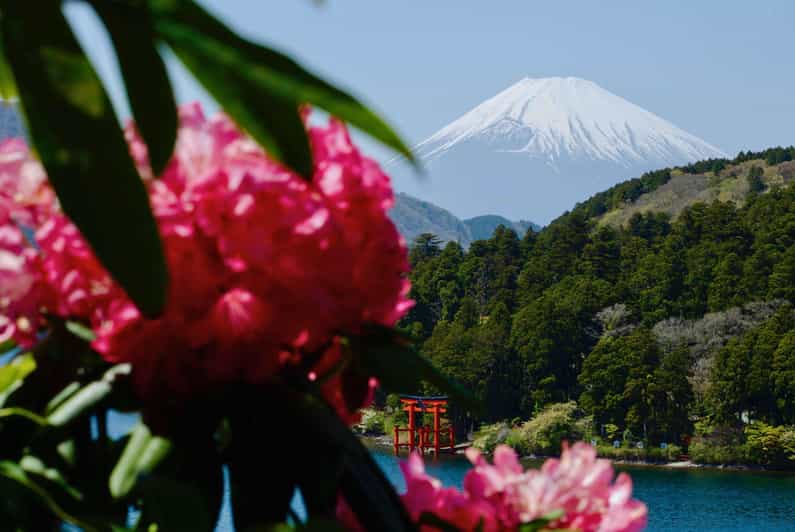 Ganztägige Hakone-Tour mit Blick auf den Fuji-Blick & Sky Walk
