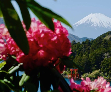 Hakone: enchanting Fujisan
