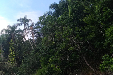 From Paraty to Ubatuba: Forest Trip with a Biologist