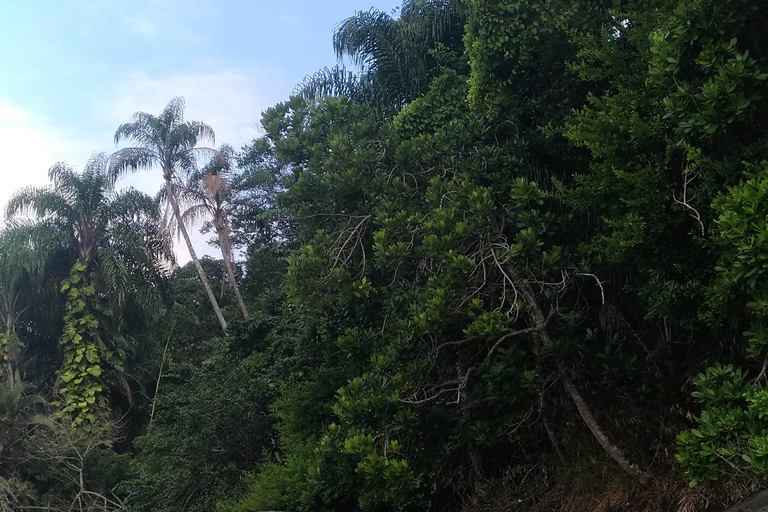 From Paraty to Ubatuba: Forest Trip with a Biologist