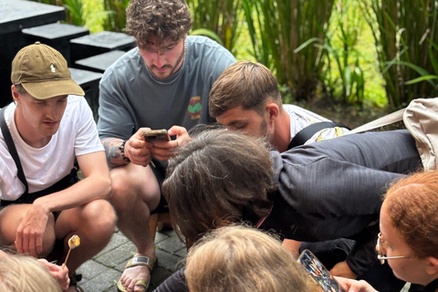 Malang: Tumpaksewu, Mount Bromo, Mount Ijen, Bali 3-Day Tour Private Homestay & Hotel