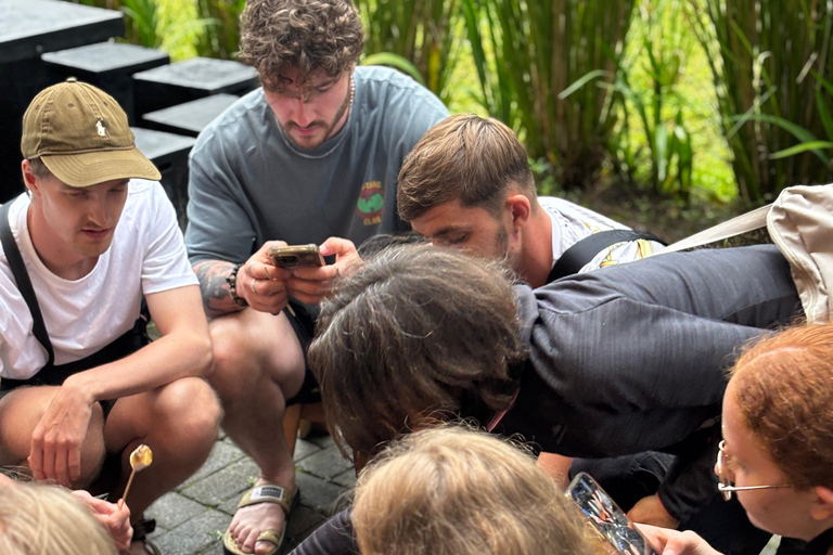 Malang: Tumpaksewu, Mount Bromo, Mount Ijen, Bali 3-Day Tour Private Homestay & Hotel