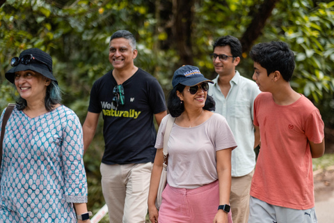 Norte de Goa: Aldeia de Mulgao e experiência de cultivo de cocos