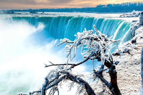 From Toronto: Winter Tour of Niagara Falls with AttractionsNiagara Falls Tour Without Attractions