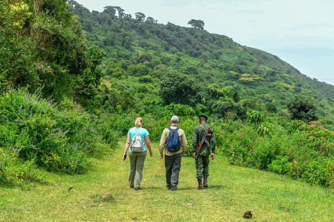 7 DAGARS SAFARI: TARANGIRE, SERENGETI &amp; NGORONGOROKRATERN