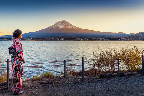 Tokyo: Mt Fuji Customizable Tour with Lakes & Pagoda