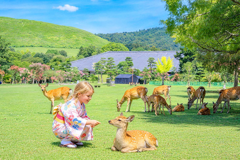 Kyoto & Nara: Guided Walking Tour with Deer Encounter