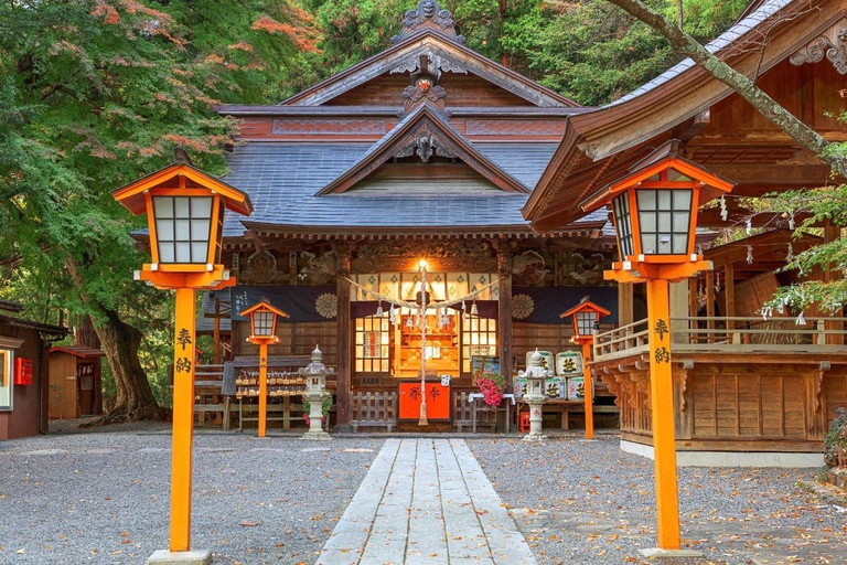 Mt Fuji 8 Spots Customizable Sightseeing Day Tour with Guide Mt Fuji 8 Spots Customizable Sightseeing Day Tour with Guide