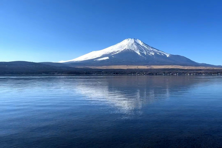 Tokyo:Mount Fuji Explorer Private Tour(Customised)With Guide