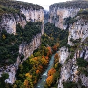 FULL DAY Excursion: Irati Forest and Ochagavía