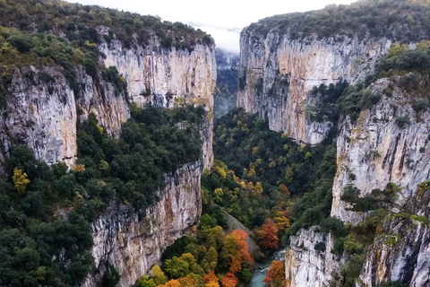 Irati Forest and Ochagavía Excursion Excursion to the Irati Forest and Ochagavía