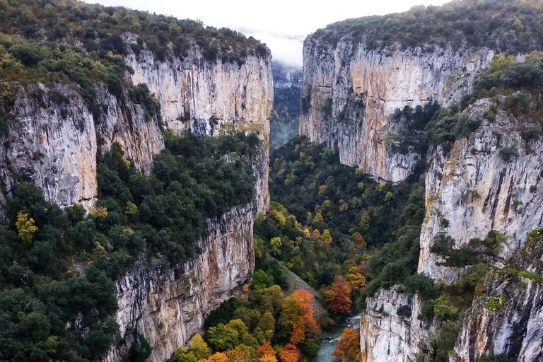 غابة إيراتي ورحلة أوتشاغافيارحلة استكشافية إلى غابة إيراتي وأوشاغافيا