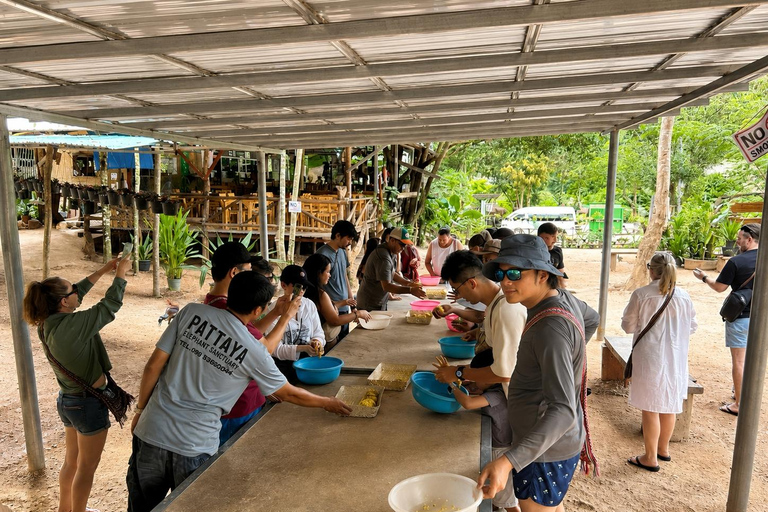 From Bangkok: Pattaya Ethical Elephant Sanctuary Day Trip