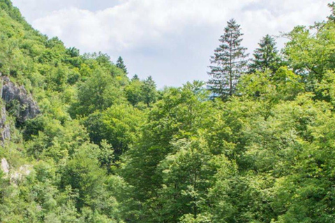 Bovec: Emerald Soča River & Alpine Forest Escape Tour