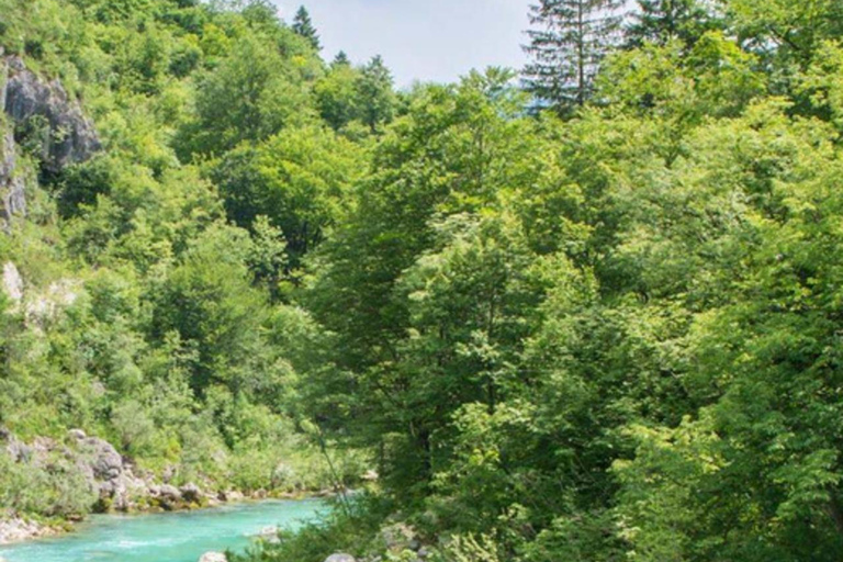 Bovec: Emerald Soča River & Alpine Forest Escape Tour