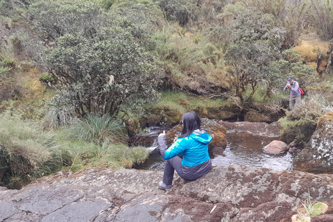 Hiking in Chingaza sector Guasca