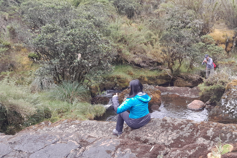 Hiking in Chingaza sector Guasca