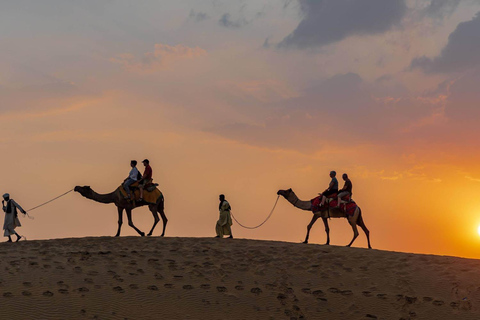 From Jodhpur: Overnight Camel Safari & Camping