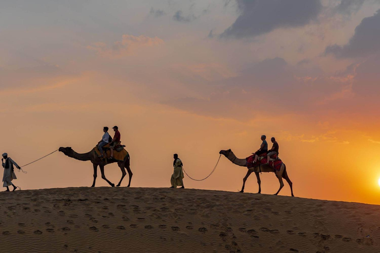 From Jodhpur: Overnight Camel Safari & Camping