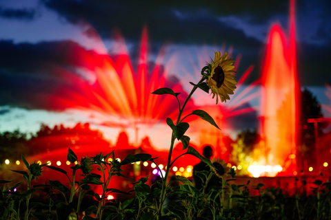 Erfurt: egapark Light Festival