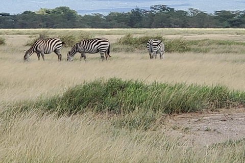 جولة رحلة ليوم واحد في أمبوسيلي - إطلالة على كليمنجارو