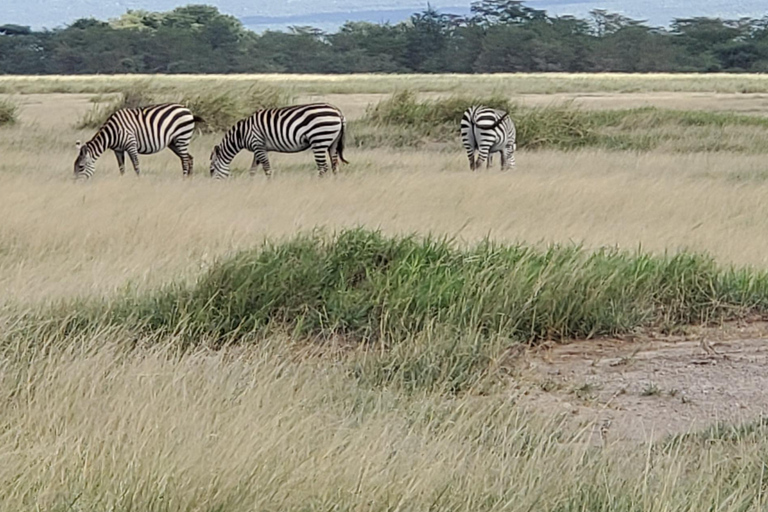 جولة رحلة ليوم واحد في أمبوسيلي - إطلالة على كليمنجارو