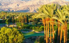 Palm Springs & Joshua Tree: National Park Self-Guided Tours