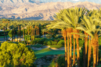 Palm Springs y Joshua Tree, Tours autoguiadas del Parque Nacional - Housity