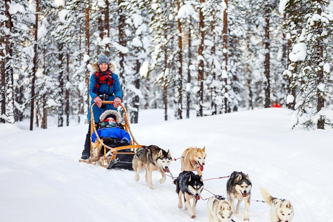 Rovaniemi: Tur till Santa Claus Village med hotelltransfer