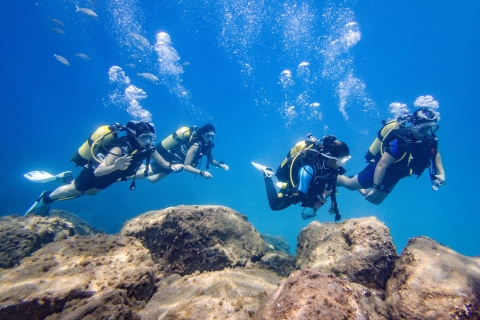 Tenerife Sur: Experiencia de buceo para principiantes