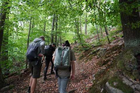 Stuttgart: Hike & Science Info on the Solar System, Galaxies & Universe