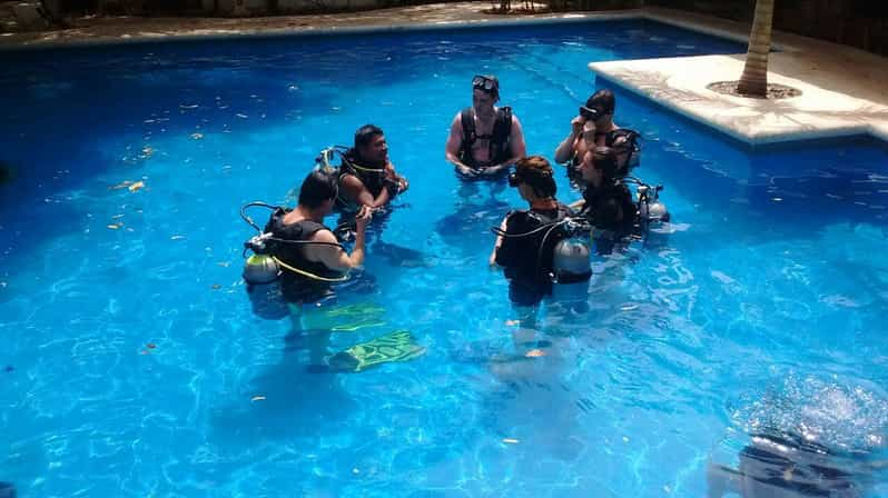 Underwater Museum Musa : Discover Scuba Diving Experience 