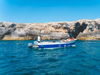 Syracuse: Excursie per boot naar Ortigia en zeegrotten