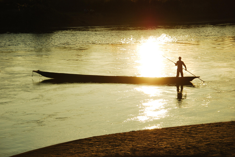 Séjour d&#039;une nuit à la tour et excursion dans le parc national de Chitwan