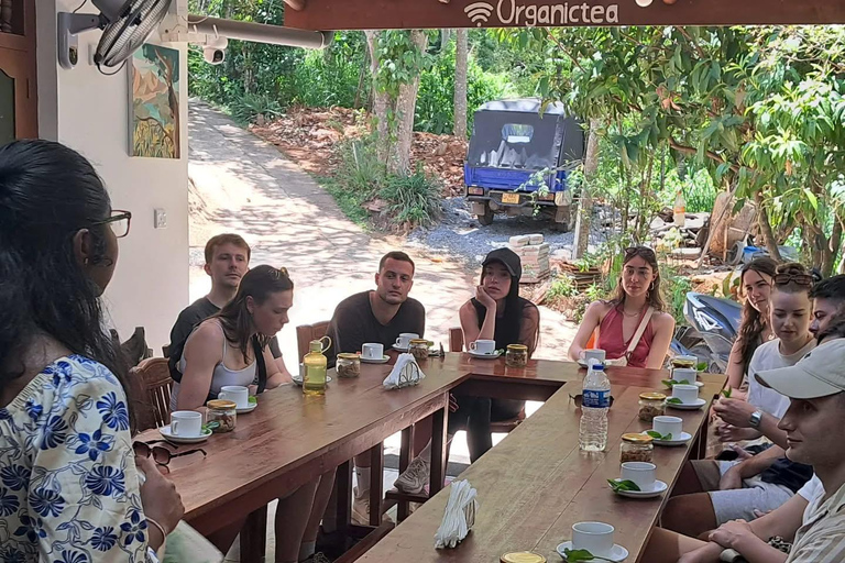 Ella: Organic Tea Plantation Tour with Tea Making & Tasting