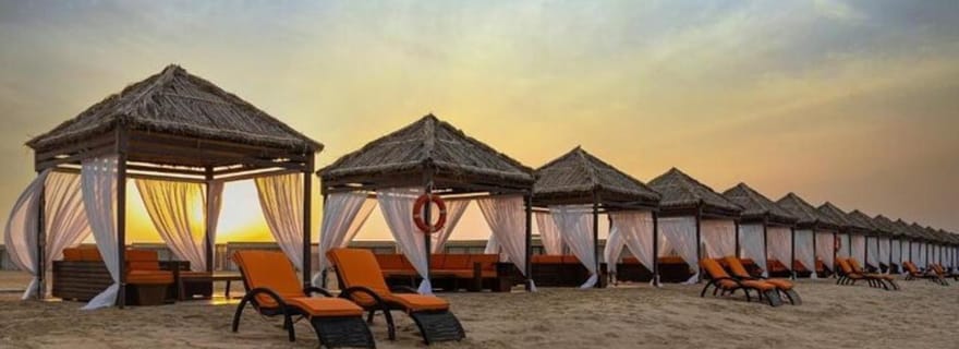 Doha : Safari dans le désert d'une journée avec déjeuner ou dîner BBQ au camp