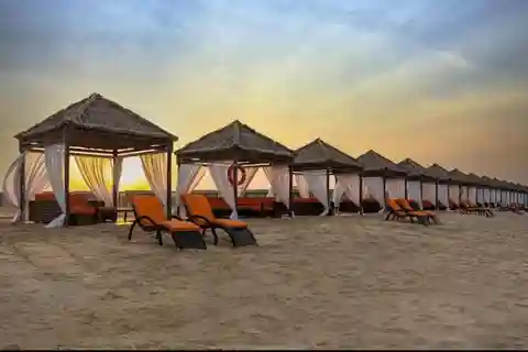 Doha:Ganztägige Wüstensafari mit Mittagessen oder Abendessen BBQ im Camp