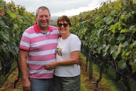 Wellington : visite privée des vignobles de Martinborough avec déjeunerWellington : visite privée du vignoble de Martinborough avec déjeuner