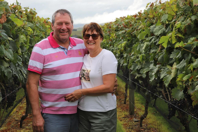 Wellington : visite privée des vignobles de Martinborough avec déjeunerWellington : visite privée du vignoble de Martinborough avec déjeuner