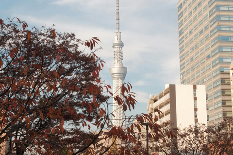 Tokio: Eendaagse Charter privétour met Engelse chauffeur