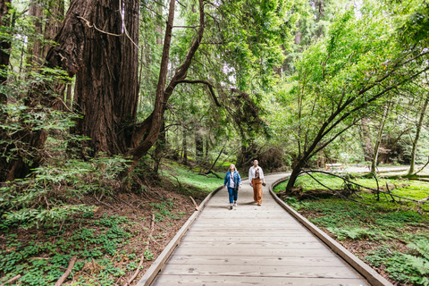 San Francisco: Muir Woods, Napa & Sonoma Valley Wine Tour Shared Tour with Lunch